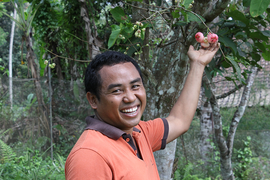 3 ts bali dewa showing me water apples inon the garden tour6resizedforweb