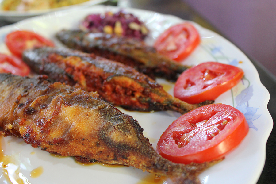 4 goa ritashinde food1resizedforweb